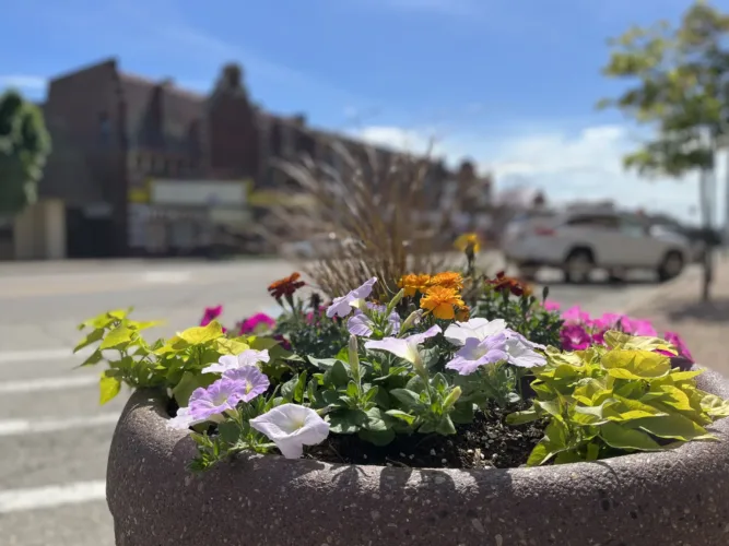 More beautification efforts eyed for Ludington